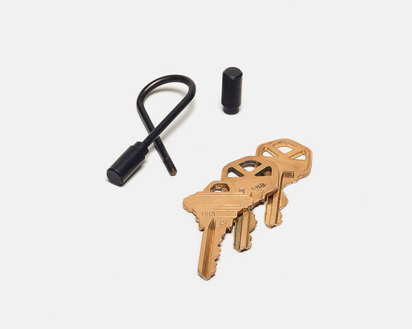 Set of keys and a keychain on a white background