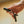 Hand holding a black device with a blurred background