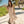 Sydney Jumpsuit