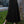 Sonoma A-Line Skirt