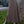 Sonoma A-Line Skirt