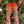 Crew Sock
