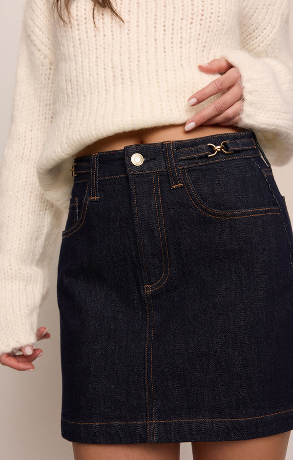The Socialite Denim Mini Skirt