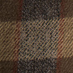 color swatch of The Yosemite Shirt in Buckeye Plaid