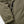 The Ridgeline Overshirt